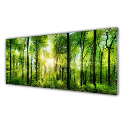 Tableaux sur verre acrylique Forêt nature vert brun