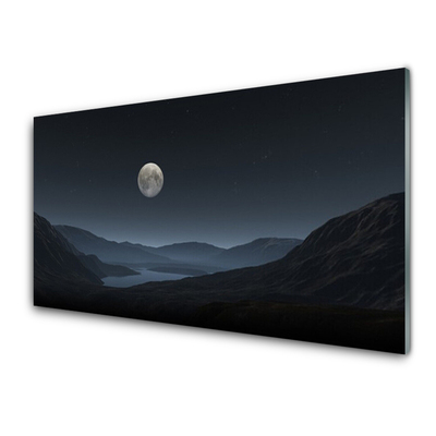 Tableaux sur verre acrylique Nuit lune paysage gris noir