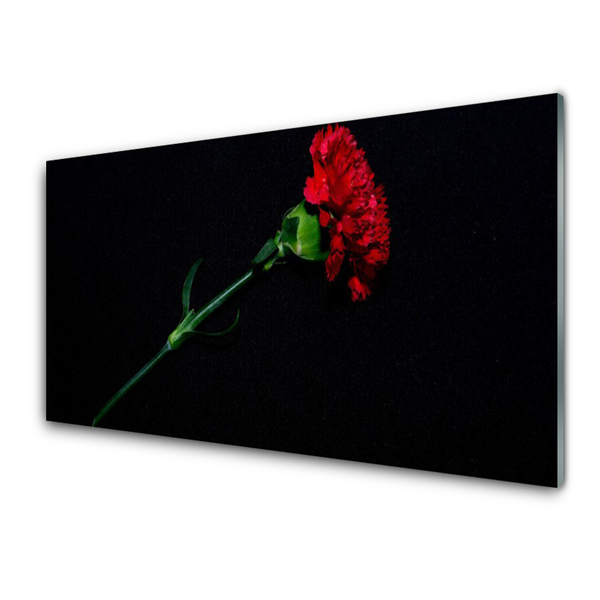 Tableaux sur verre acrylique Fleur floral rouge vert