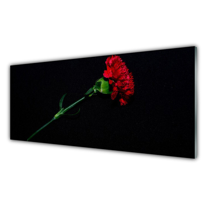 Tableaux sur verre acrylique Fleur floral rouge vert