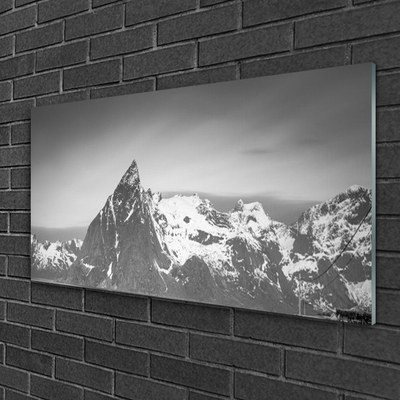Tableaux sur verre acrylique Montagnes paysage gris blanc