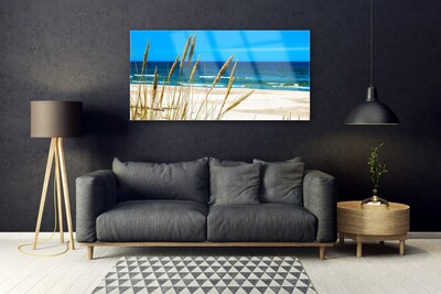 Tableaux sur verre acrylique Mer plage paysage brun bleu