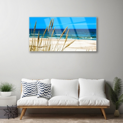 Tableaux sur verre acrylique Mer plage paysage brun bleu