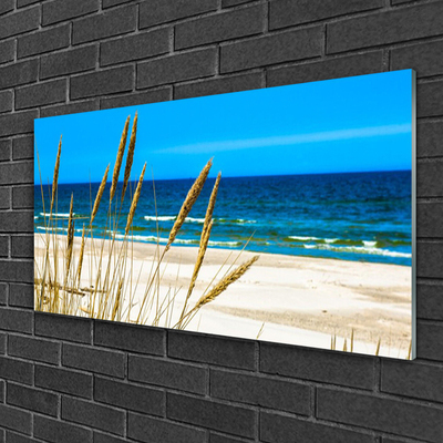 Tableaux sur verre acrylique Mer plage paysage brun bleu