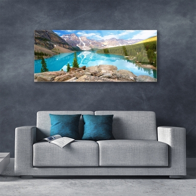 Tableaux sur verre acrylique Montagnes lac forêt nature gris bleu vert