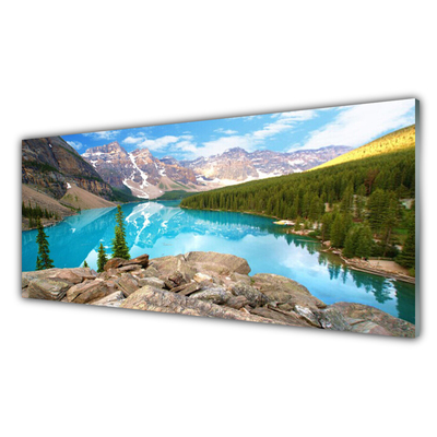 Tableaux sur verre acrylique Montagnes lac forêt nature gris bleu vert