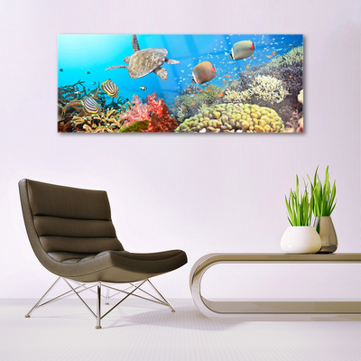 Tableaux sur verre acrylique Récif de corail paysage multicolore