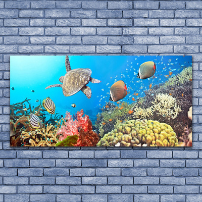 Tableaux sur verre acrylique Récif de corail paysage multicolore