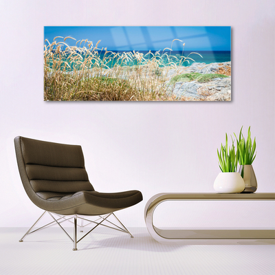 Tableaux sur verre acrylique Plage paysage brun