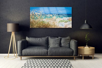 Tableaux sur verre acrylique Plage paysage brun