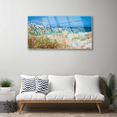 Tableaux sur verre acrylique Plage paysage brun