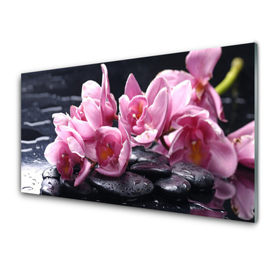 Tableaux sur verre acrylique Pierres fleurs floral rose noir