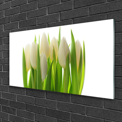 Tableaux sur verre acrylique Tulipes floral blanc vert