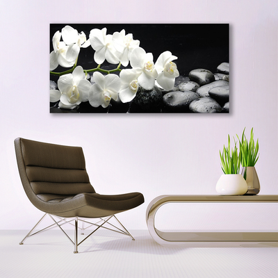 Tableaux sur verre acrylique Pierres fleurs floral blanc noir