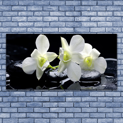 Tableaux sur verre acrylique Pierres fleurs floral blanc noir