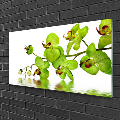 Tableaux sur verre acrylique Fleurs floral vert