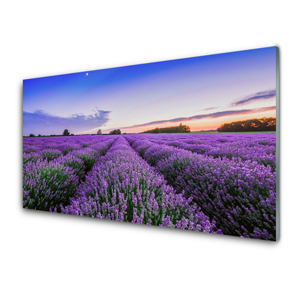 Tableaux sur verre acrylique Prairie fleurs nature violet vert