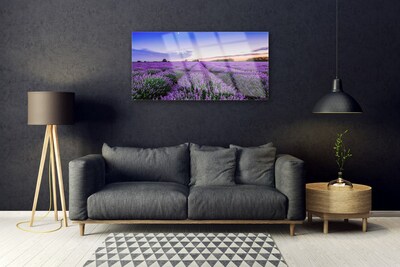 Tableaux sur verre acrylique Prairie fleurs nature violet vert