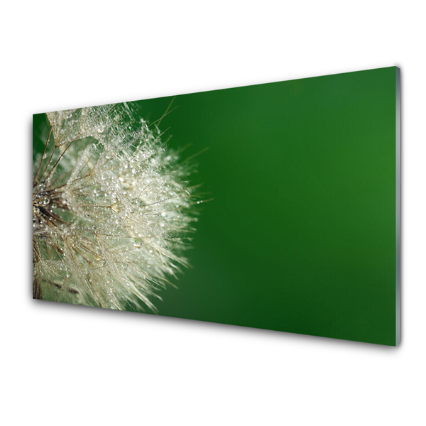 Tableaux sur verre acrylique Pissenlit floral blanc vert