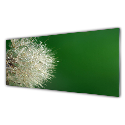 Tableaux sur verre acrylique Pissenlit floral blanc vert