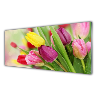 Tableaux sur verre acrylique Tulipes floral vert rouge