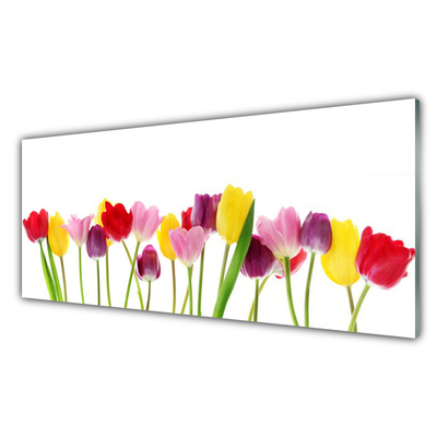 Tableaux sur verre acrylique Tulipes floral multicolore