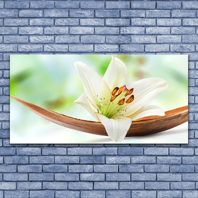 Tableaux sur verre acrylique Fleur floral blanc