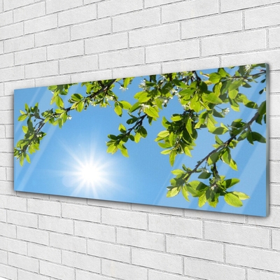 Tableaux sur verre acrylique Soleil nature blanc
