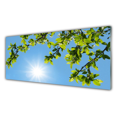 Tableaux sur verre acrylique Soleil nature blanc