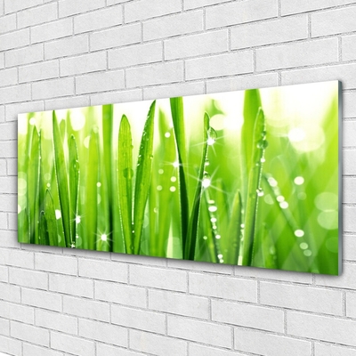 Tableaux sur verre acrylique Herbe floral vert