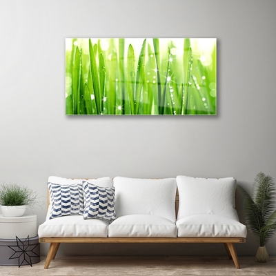 Tableaux sur verre acrylique Herbe floral vert