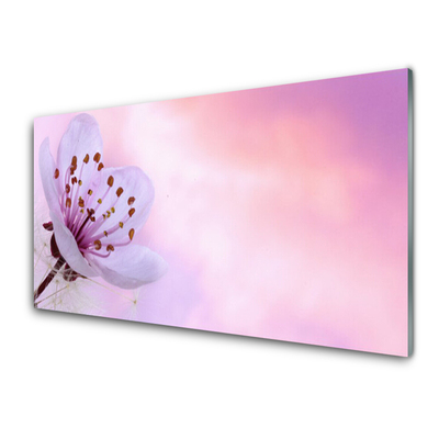 Tableaux sur verre acrylique Fleur floral rose