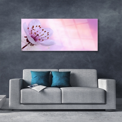 Tableaux sur verre acrylique Fleur floral rose