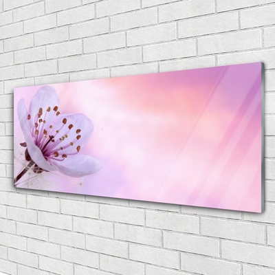 Tableaux sur verre acrylique Fleur floral rose