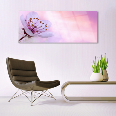 Tableaux sur verre acrylique Fleur floral rose