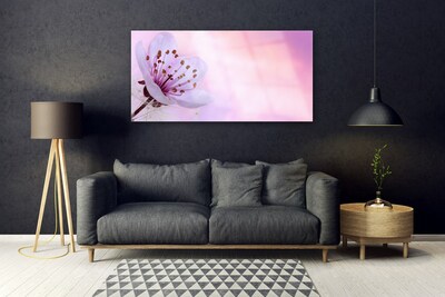 Tableaux sur verre acrylique Fleur floral rose