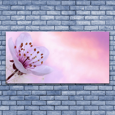 Tableaux sur verre acrylique Fleur floral rose