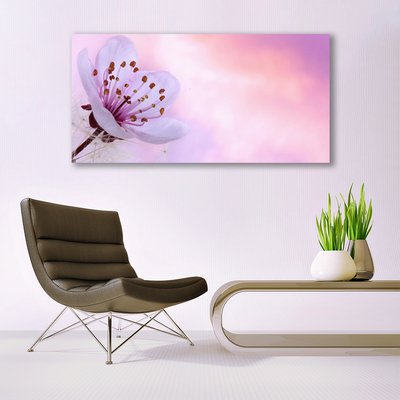 Tableaux sur verre acrylique Fleur floral rose