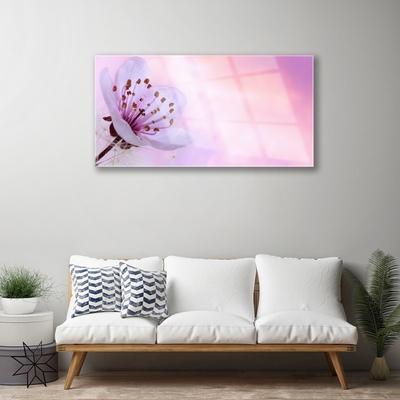 Tableaux sur verre acrylique Fleur floral rose