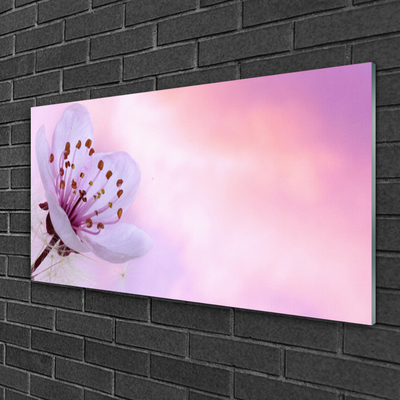 Tableaux sur verre acrylique Fleur floral rose