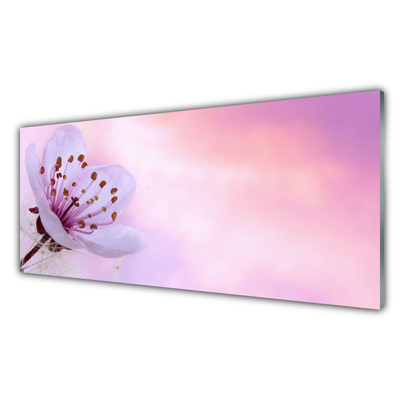 Tableaux sur verre acrylique Fleur floral rose