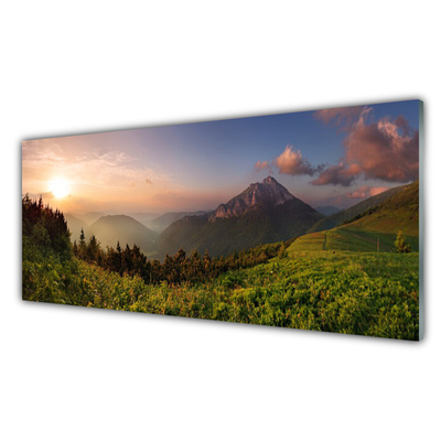 Tableaux sur verre acrylique Montagne forêt nature gris vert