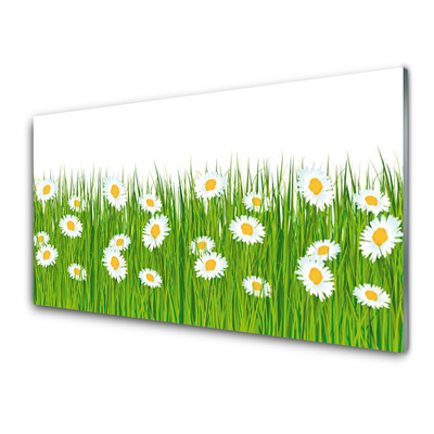 Tableaux sur verre acrylique Herbe marguerite nature vert blanc jaune