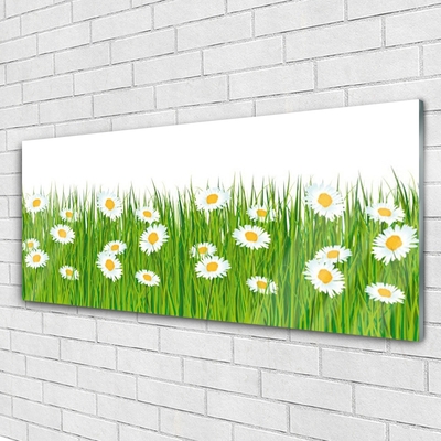 Tableaux sur verre acrylique Herbe marguerite nature vert blanc jaune