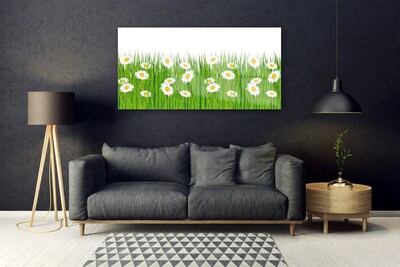 Tableaux sur verre acrylique Herbe marguerite nature vert blanc jaune