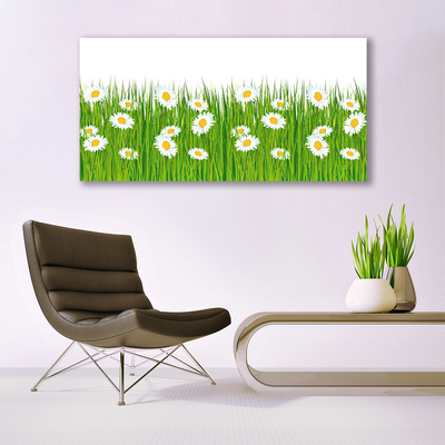 Tableaux sur verre acrylique Herbe marguerite nature vert blanc jaune