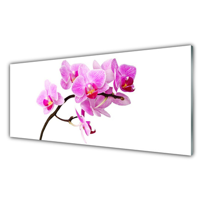 Tableaux sur verre acrylique Fleurs floral rose brun