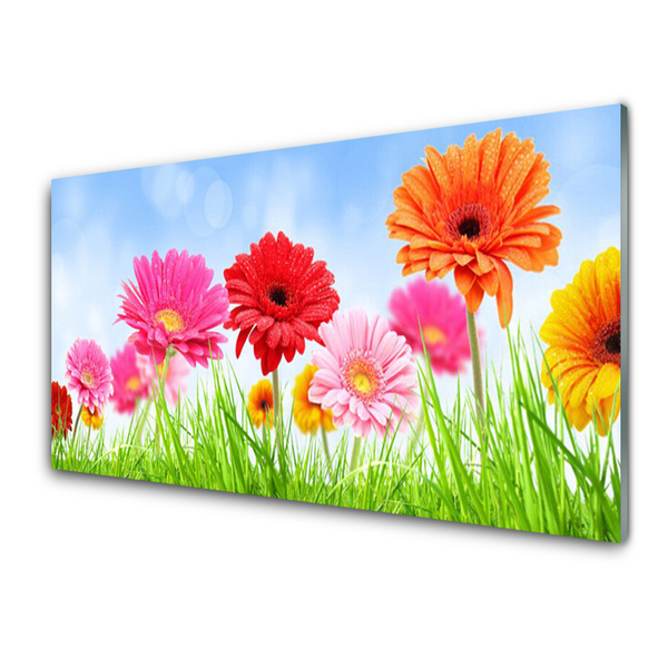 Tableaux sur verre acrylique Fleurs herbe floral multicolore