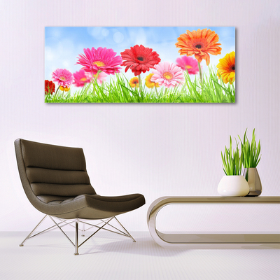 Tableaux sur verre acrylique Fleurs herbe floral multicolore