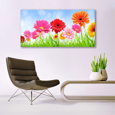 Tableaux sur verre acrylique Fleurs herbe floral multicolore